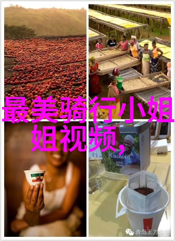 绝对控制我的学校2权力游戏的新篇章