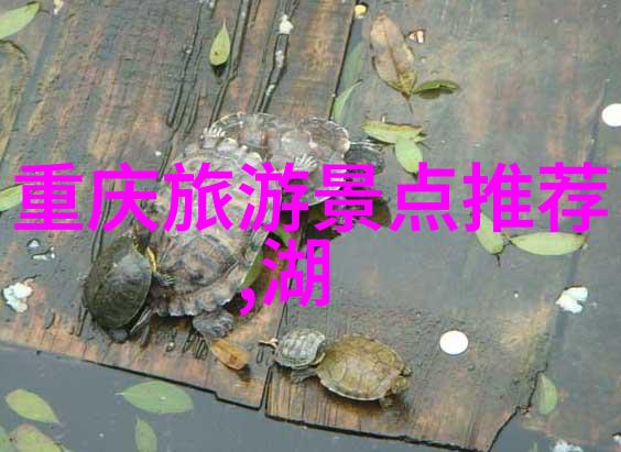 户外乐趣盛宴探索幼儿园100款创意游戏