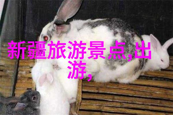 西安吃货必去的特色美食有哪些