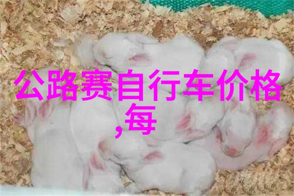尼罗河之谜世界上最好玩的地方位于非洲大陆流经埃及苏丹和埃塞俄比亚等国家探索尼罗河的位置地图与其丰富历