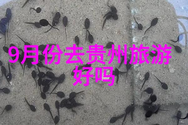 武汉周边自驾游我去哪儿我的武汉周边自驾游之旅