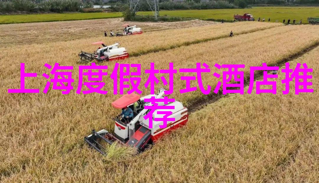 云南五天游记揭秘大理丽江与香格里拉的美好瞬间