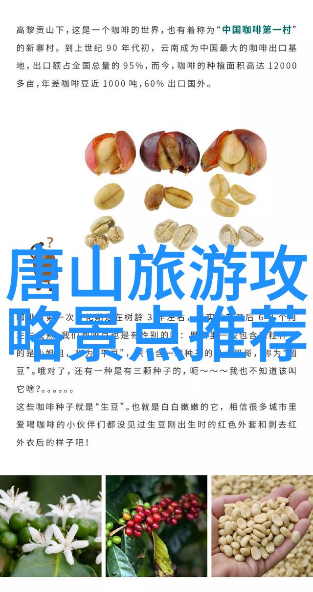 户外乐趣无限探索全新户外游戏体验