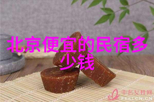 深度探索巴哈马群岛海滩之旅与海洋的守望巴哈马群岛游记