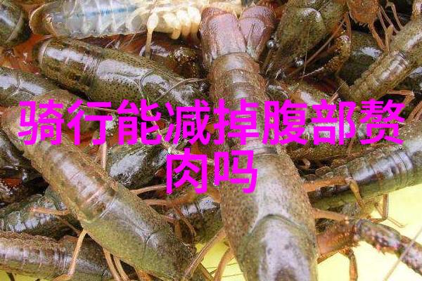 探索西湖之滨杭州周边地区自驾游研究