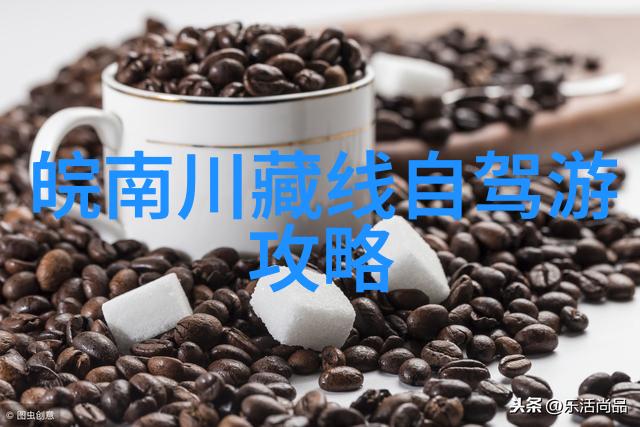 上海美食之冠品尝经典的东坡肉
