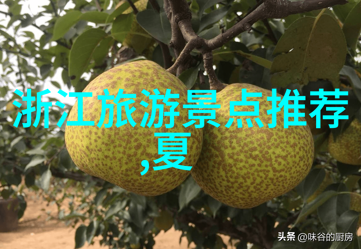 探索江苏美食之旅芒街芒街的诱惑在哪里