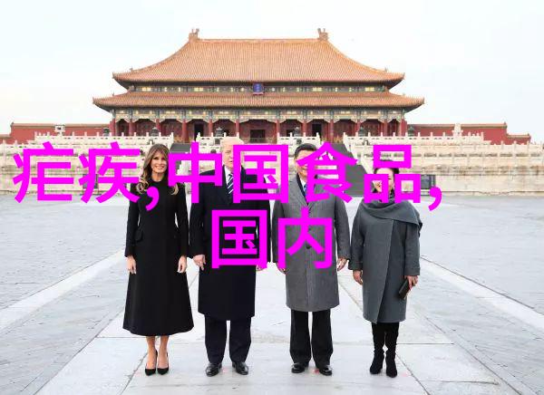 出发前须知解读国内外旅行中的出国与出去的含义差别