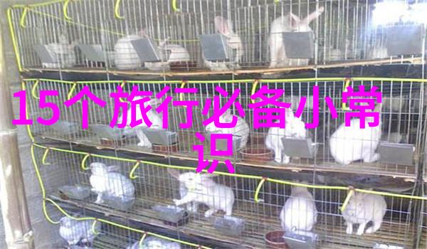 东江湖景区门票处住宿探秘与舒适相伴的旅行体验