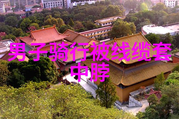 全球旅行重启2021年热门目的地与新趋势