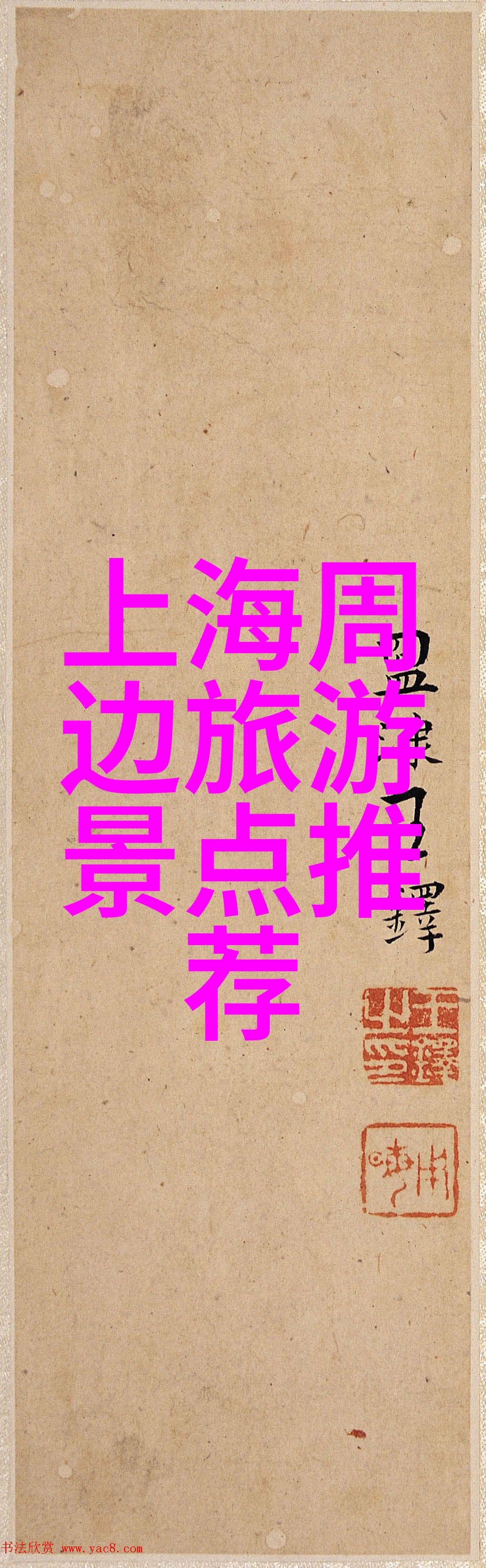 骑行风情女性自行车的多重魅力