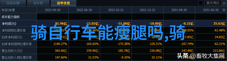 荒废工厂里的二手自行车隐藏着怎样的秘密