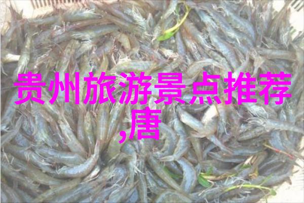 一日烟台之旅海洋世界的魔力与魅力