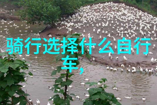 刘伟元骑行刘伟元的冒险骑行之旅