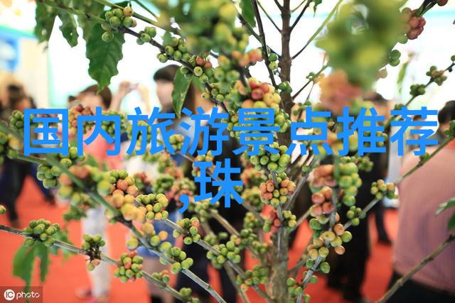 骑行健身的谜团三十公里每天为何不见效果