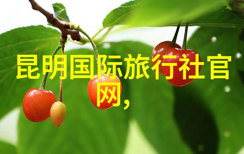 童心大冒险儿童拓展训练项目的奇幻世界