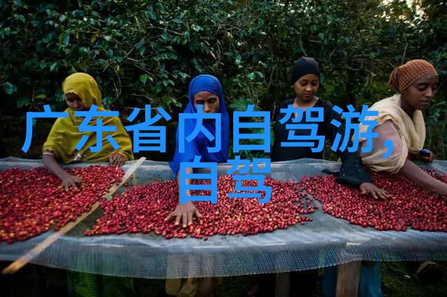 蝴蝶效应2沙发做的那段-微小动作巨大波澜探索蝴蝶效应2沙发制作之谜