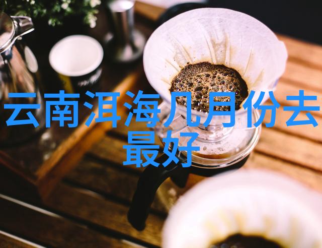 骑行人群有何特征我的观察录