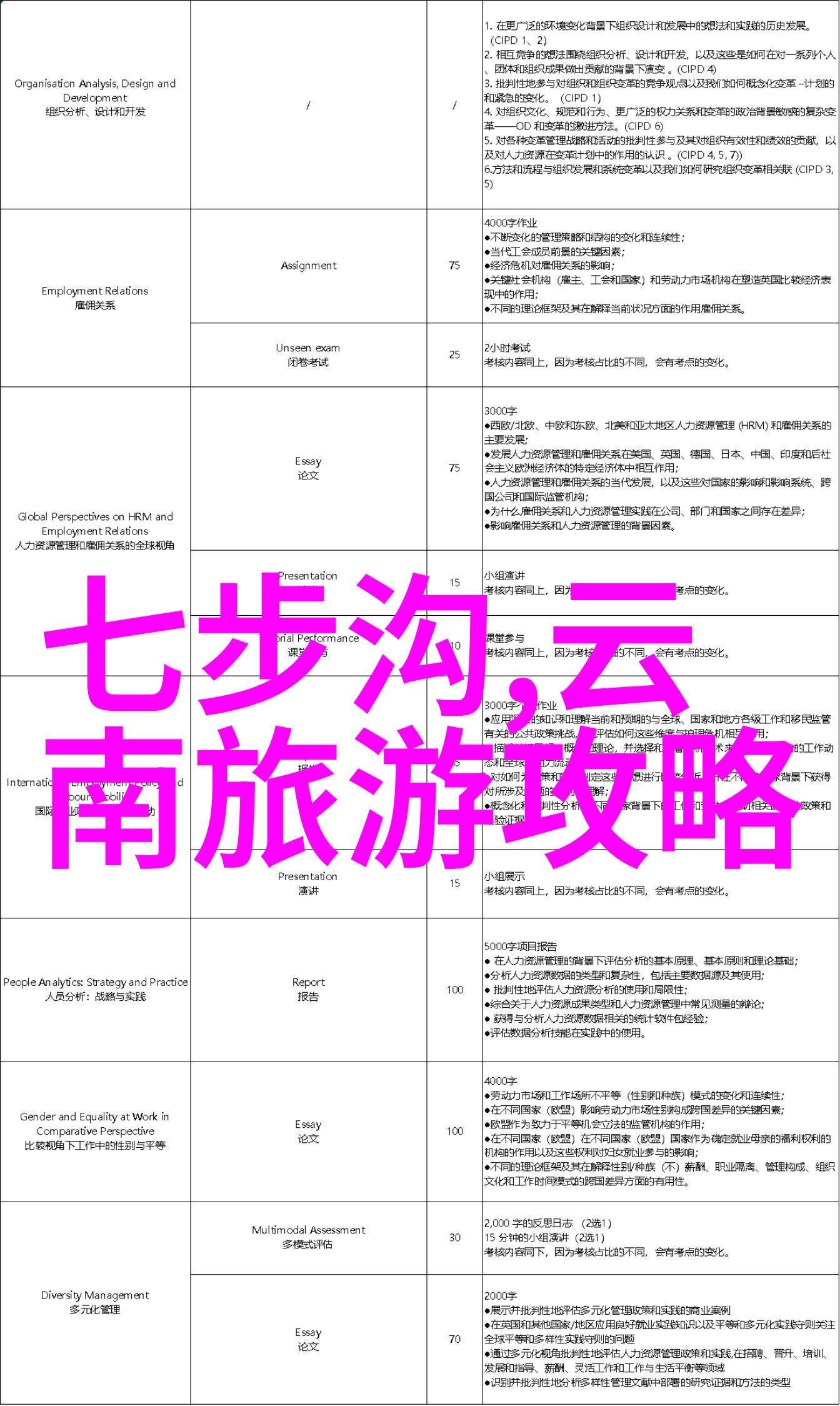 追逐黎明的脚步我在泰国清迈的奇遇
