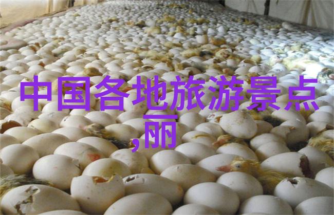 环绕中国探索最美骑行路线的秘密