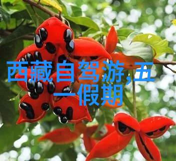 带着另一个自己去鼓浪屿露营吧二手捷安特一般多少钱