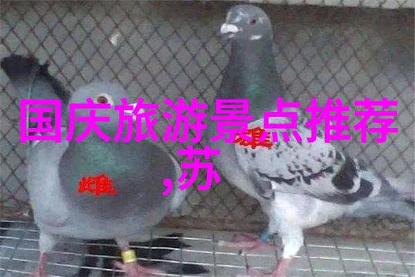 云南旅游景点线路图-探索云南美丽风光一条穿越古镇与自然奇观的旅程