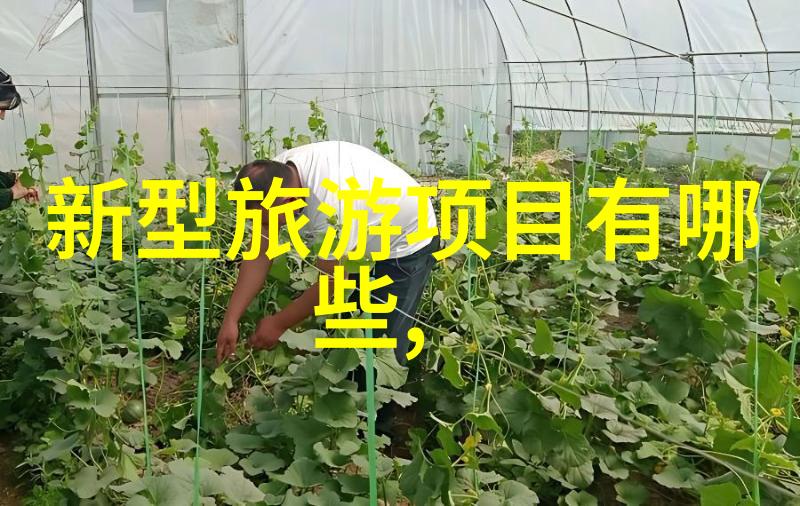 泉州旅游攻略 - 探秘古韵泉州热门景点与文化体验