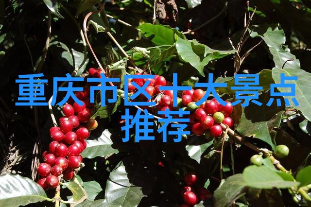 失落的海岛揭秘最新旅游热点背后的古老秘密