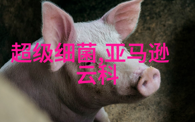 天津自驾游开车去吧探索这座古城的秘密之地
