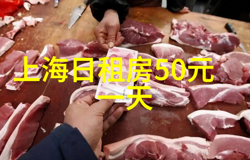 上海一日游探索璀璨都市的秘密角落