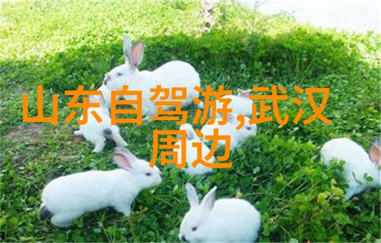 春风拂过潜江绽放赏花美地等你来发现