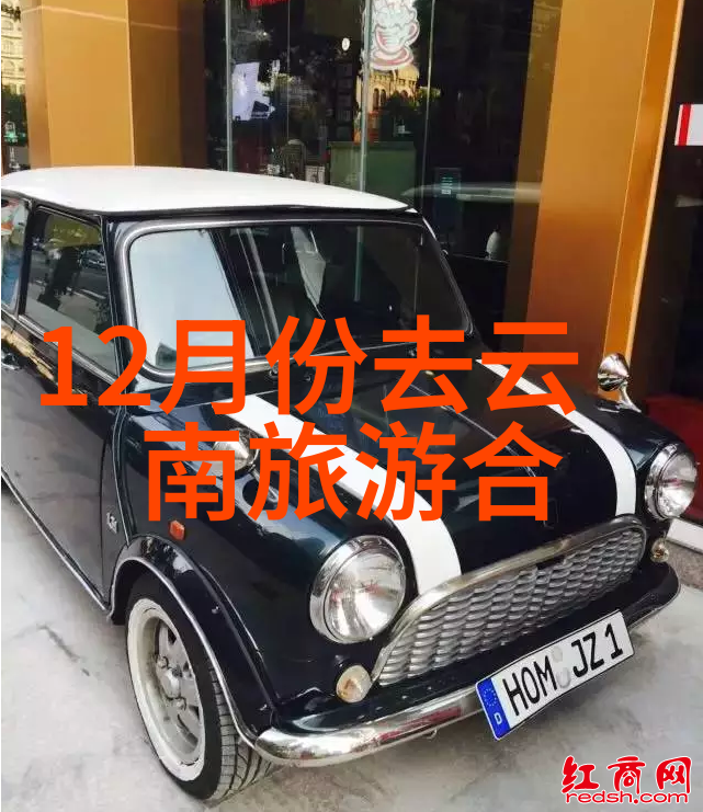 探索华山之巅一条穿越古木参天的奇遇路线