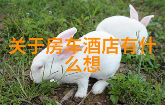 如何有效规划路线以适应不同风速和方向的小心变化