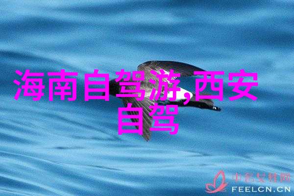 在云南怎么玩才能体验当地文化