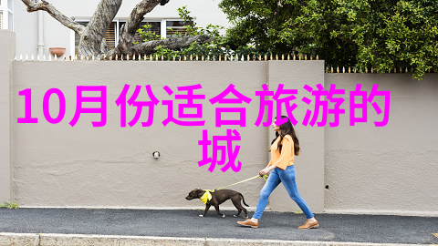 初三游记探索青春的足迹