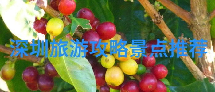 北京周边探索陈仕红木休闲品鉴馆的魅力之旅