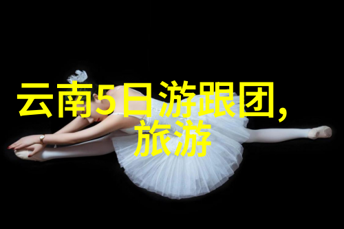 隐秘的旅人免费民宿推广平台之谜