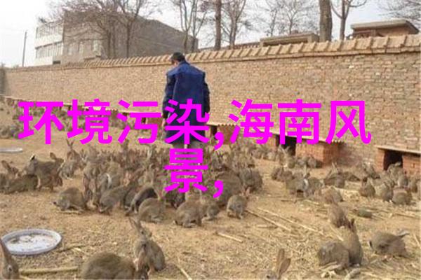 国旅通话跨越时空的温情回响