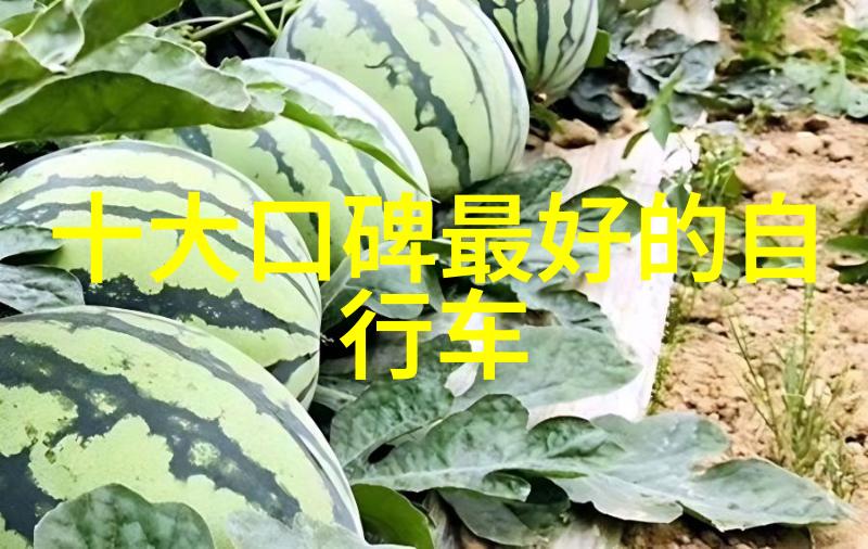 宁波路通单车百货商店捷安特庄市店骑行在心自由永远