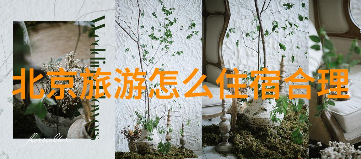 旅行社的秘密哪些投诉能让你回眸见退款