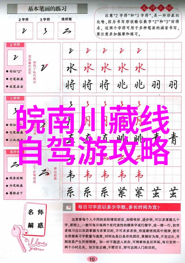 六盘山森林公园之旅探索自然体验当地民宿