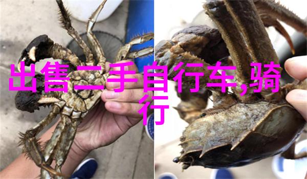 探索当地魅力一日游必看景点指南