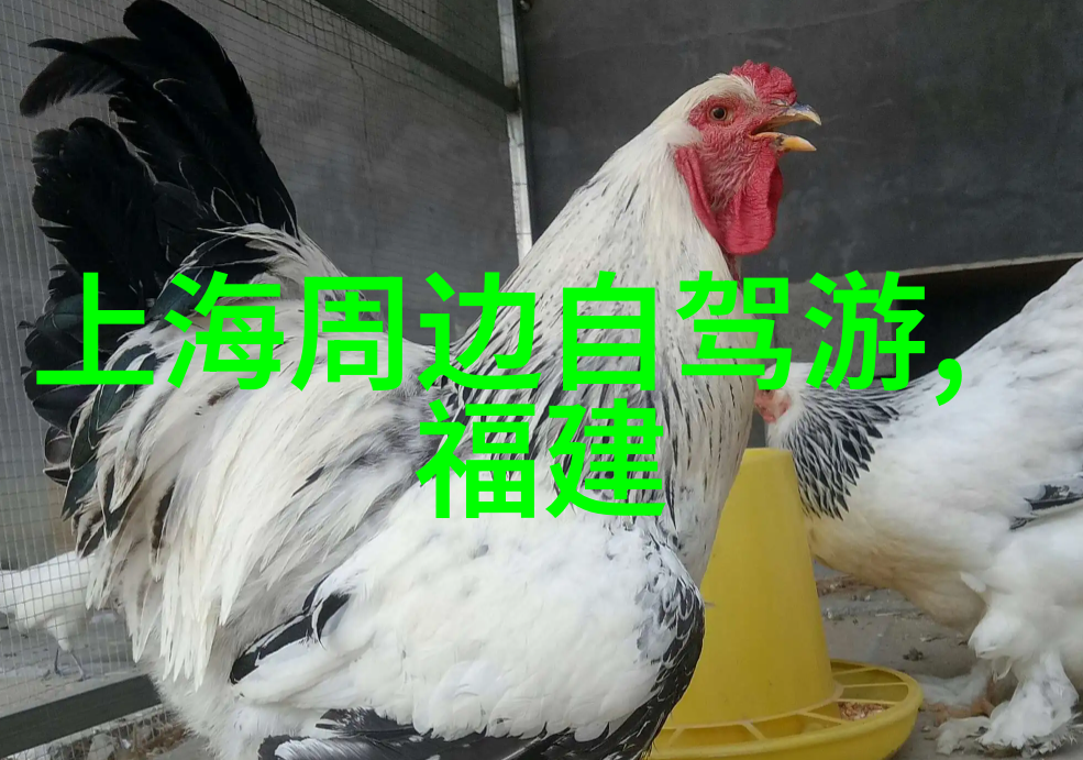 捷安特车队揭秘环瑞士赛强档