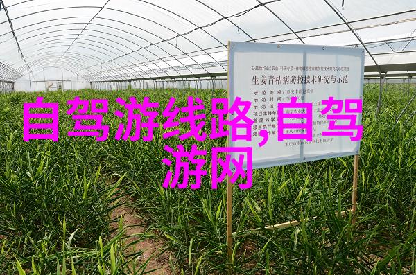 美国之旅笑傲大陆的秘密宝藏
