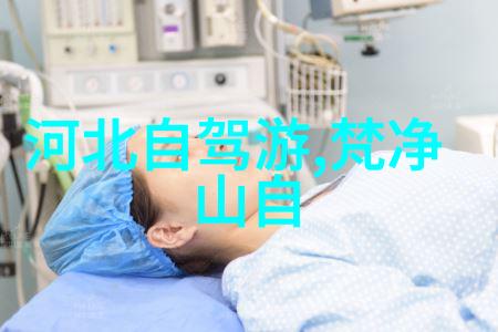 旅行我去年七八月的最酷城市之旅