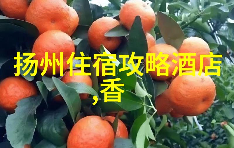 上海十大夜市小吃街我在上海的那些风味记从最热门的夜市小吃街开始