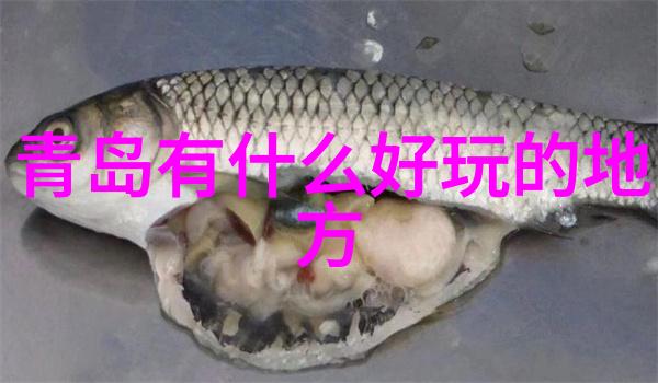 曲阜市区古迹游览孔庙孔林和九里山遗址