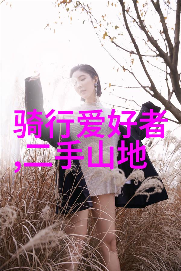 两天三夜的旅行该如何安排才能体验最充实的城市探索