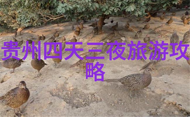 揭秘泰州深夜未解之谜的住宿地图