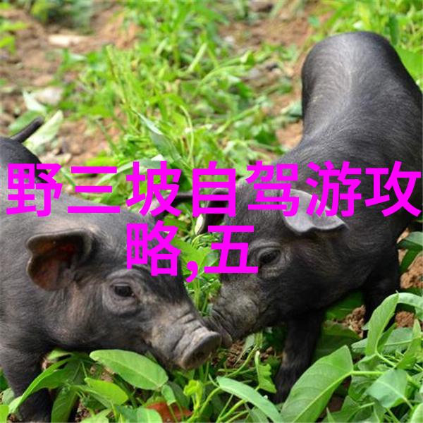 5月份国内旅游最佳地方避开人潮的冷门胜地体验独一无二的旅行魅力